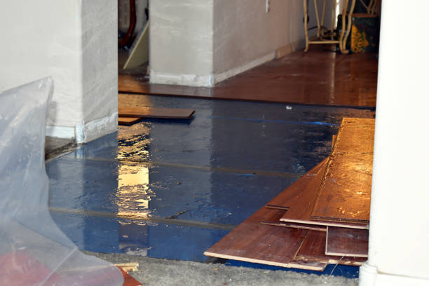 Professional Burst Pipe Cleanup technician working in Solomons, MD